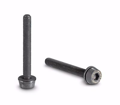Campagnolo Brake Mounting Screws 30-43